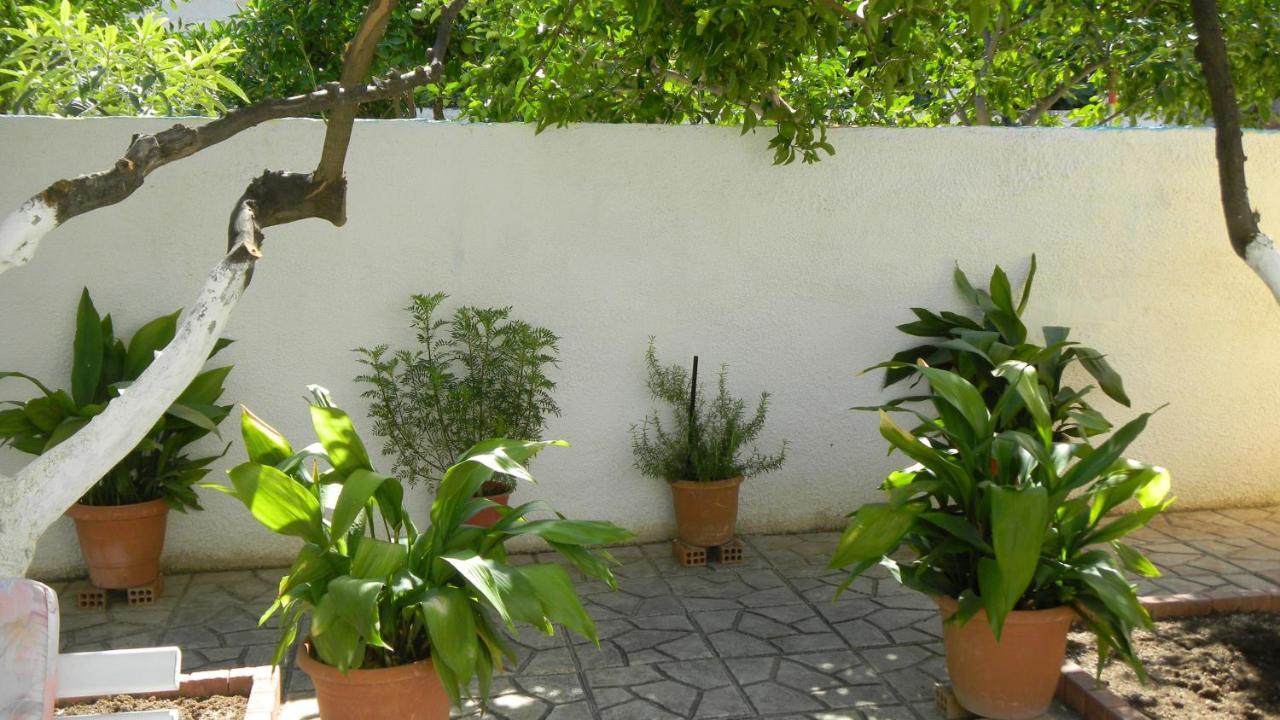 Cosy Guesthouse-Souterrain With Garden In City Center Corinth Exteriör bild