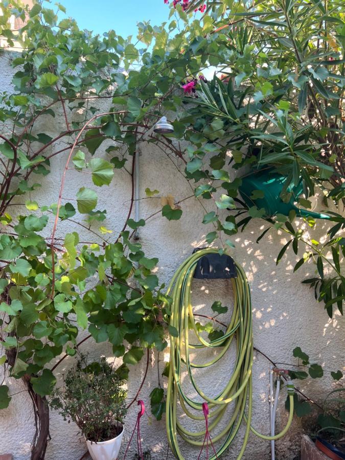 Cosy Guesthouse-Souterrain With Garden In City Center Corinth Exteriör bild
