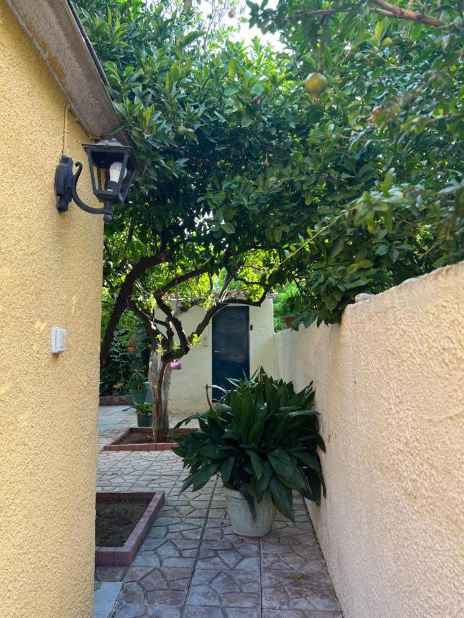 Cosy Guesthouse-Souterrain With Garden In City Center Corinth Exteriör bild