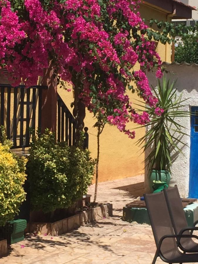 Cosy Guesthouse-Souterrain With Garden In City Center Corinth Exteriör bild